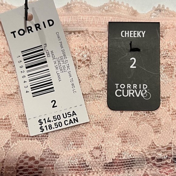 NWT TORRID Cheeky Pantie Underwear Sz 2X Gray Pink Lace Jersey - Picture 3 of 4